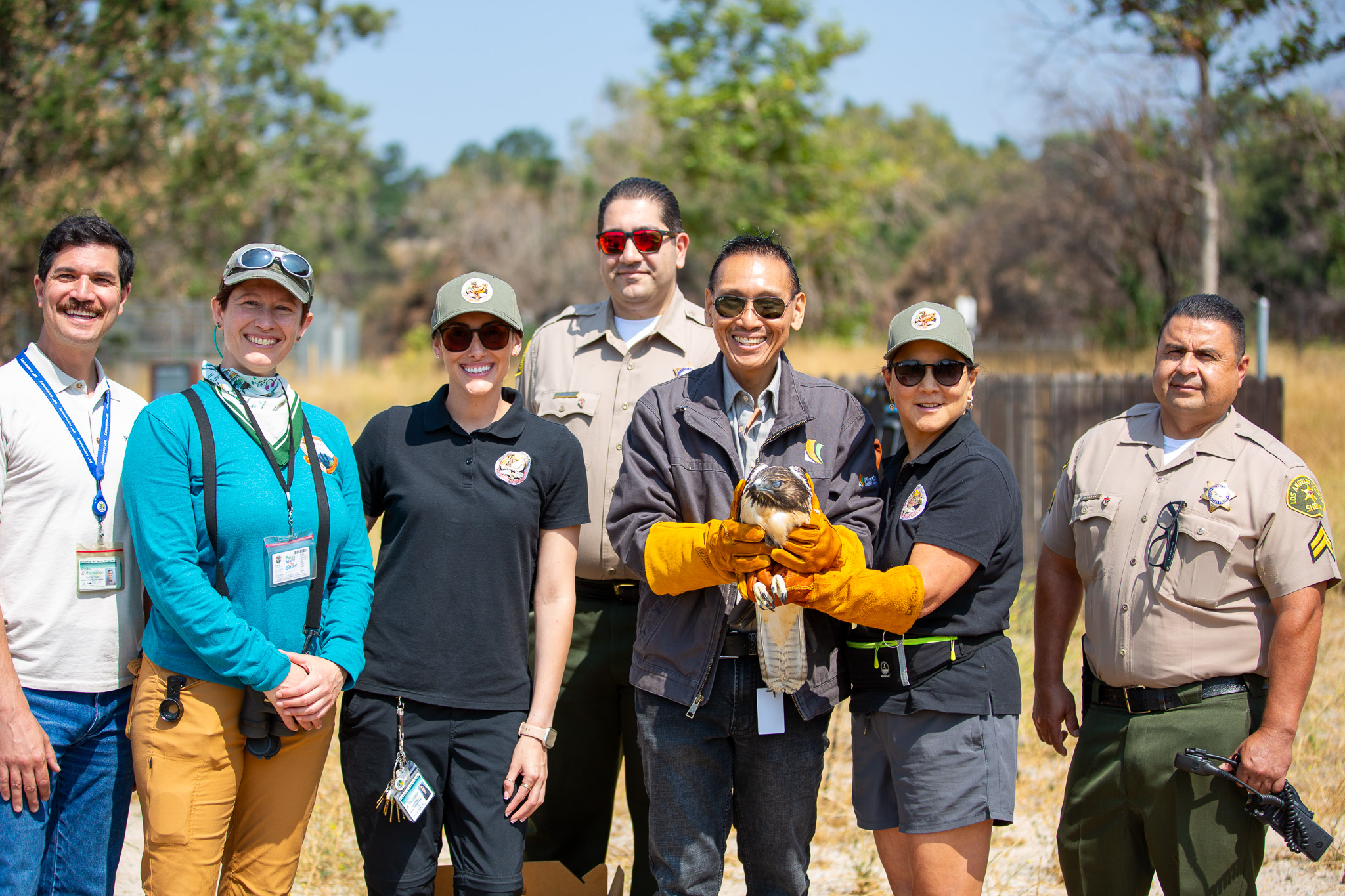 Eaton Canyon with Red Tailed Hawk
