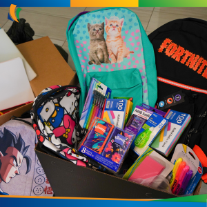 LACCEA-Donation--LinkedIn-3-300x300 LACCEA-Donation--LinkedIn-3-300x300